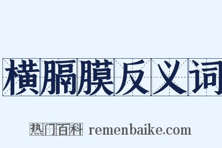 横膈膜反义词是什么意思的图片